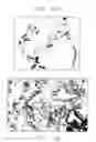 Fig. 14 - Mouse prostate stem cell antigen and uses thereof