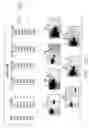 Fig. 22 - Mouse prostate stem cell antigen and uses thereof