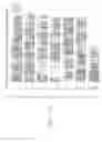 Fig. 23 - Mouse prostate stem cell antigen and uses thereof
