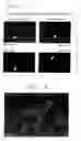 Fig. 25 - Mouse prostate stem cell antigen and uses thereof