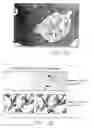 Fig. 30 - Mouse prostate stem cell antigen and uses thereof