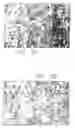 Fig. 32 - Mouse prostate stem cell antigen and uses thereof