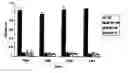 Fig. 01 - Compositions capable of specifically binding particular human antigen presenting molecule/pathogen-derived antigen complexes and uses thereof