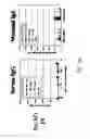 Fig. 09 - Measles subunit vaccine