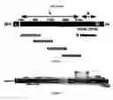Fig. 02 - Nucleic acid sequence comprising the rna packaging signal of a group 1 coronavirus and the applications thereof