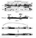Fig. 07 - Nucleic acid sequence comprising the rna packaging signal of a group 1 coronavirus and the applications thereof