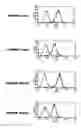 Fig. 07 - Cytotoxic T-cell epitopes from 