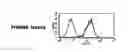 Fig. 09 - Cytotoxic T-cell epitopes from 