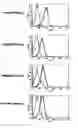 Fig. 22 - Cytotoxic T-cell epitopes from 