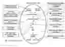 Fig. 01 - Soft tissue implants and anti-scarring agents