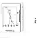 Fig. 05 - Soft tissue implants and anti-scarring agents
