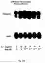 Fig. 17 - Soft tissue implants and anti-scarring agents