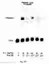 Fig. 18 - Soft tissue implants and anti-scarring agents