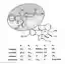 Fig. 03 - Soft tissue implants and anti-scarring agents