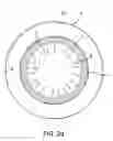 Fig. 09 - Method and apparatus for macromolecular delivery using a coated membrane