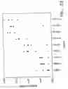 Fig. 28 - Stable lipid-comprising drug delivery complexes and methods for their production