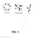 Fig. 02 - Membrane scaffold proteins