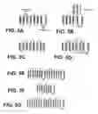 Fig. 07 - Membrane scaffold proteins
