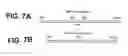 Fig. 09 - Membrane scaffold proteins