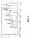 Fig. 05 - Transplantable particulate bone composition having high osteoinductive capacity and methods for making and using same