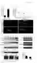 Fig. 04 - Methods and compositions for promoting axon regeneration and cell replacement therapy