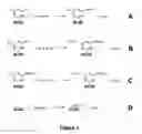 Fig. 03 - Method of activating a silicon surface for subsequent patterning of molecules onto said surface