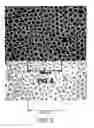 Fig. 06 - Pressure-sensitive adhesives having microstructured surfaces