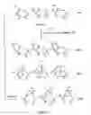 Fig. 08 - Process for treating wood and products