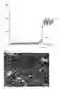 Fig. 04 - Press-fit sealed electronic component and method for producing the same