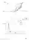 Fig. 02 - Real-time configurable masking