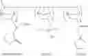 Fig. 20 - Norbornene-type monomers and polymers containing pendent lactone or sultone groups