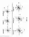 Fig. 44 - Physical quantum model for the atom