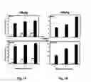 Fig. 02 - Viral propagation system and uses thereof