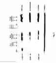 Fig. 06 - Viral propagation system and uses thereof
