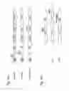 Fig. 40 - Replication competent hepatitis C virus and methods of use