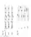 Fig. 44 - Replication competent hepatitis C virus and methods of use