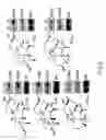 Fig. 10 - Methods for identifying gibberellin responsive genes using cultured vegetable cells