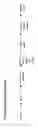Fig. 03 - Method to determine in vivo nucleic acid levels
