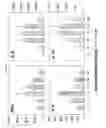 Fig. 12 - Method to determine in vivo nucleic acid levels