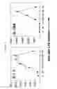 Fig. 13 - Method to determine in vivo nucleic acid levels
