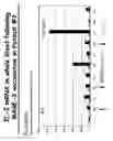 Fig. 20 - Method to determine in vivo nucleic acid levels