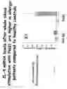 Fig. 24 - Method to determine in vivo nucleic acid levels