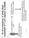 Fig. 25 - Method to determine in vivo nucleic acid levels