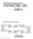 Fig. 08 - Nucleic acid analysis