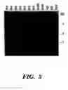 Fig. 04 - Nucleic acid encoding Bacillus stearothermophilus delta prime polymerase subunit