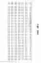 Fig. 07 - Nucleic acid encoding Bacillus stearothermophilus delta prime polymerase subunit