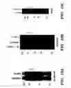 Fig. 19 - Nucleic acid encoding Bacillus stearothermophilus delta prime polymerase subunit