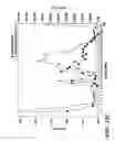 Fig. 23 - Nucleic acid encoding Bacillus stearothermophilus delta prime polymerase subunit