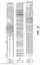 Fig. 29 - Nucleic acid encoding Bacillus stearothermophilus delta prime polymerase subunit