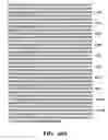 Fig. 33 - Nucleic acid encoding Bacillus stearothermophilus delta prime polymerase subunit